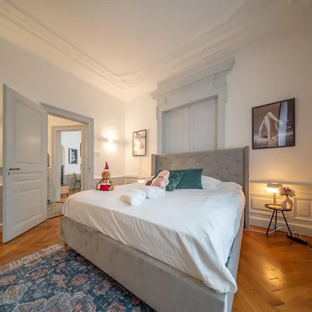 Beautiful Centre De Caractere - Private Free Parking Included 公寓 科尔马